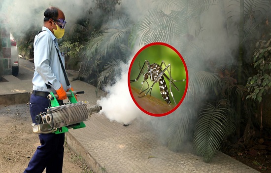 Mosquito Control